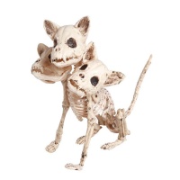 Esqueleto de perro con 3 cabezas de 34 cm