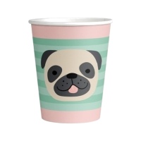 Vasos de Mascotas de 250 ml - 8 unidades