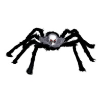 Araña con calavera de 60 cm