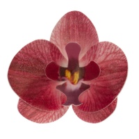 Obleas de flores de Orquídea burdeos de 7,5 cm - Dekora - 10 unidades