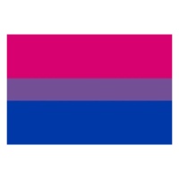 Bandera bisexual de 0,90 x 1,50 m