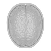 Molde de plastico de cerebro - Amscan
