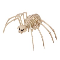 Esqueleto de tarántula de 35 x 20 cm