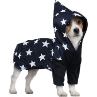 Disfraz de mago para perro