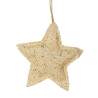 Colgante para el árbol con forma de estrella de 10 cm