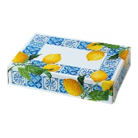 Caja de 23,5 x 16 x 5 cm de limones