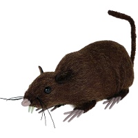 Rata marrón de 15 cm