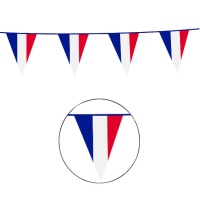 Banderín de Francia de triángulo de 10 m