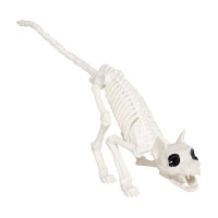Esqueleto de gato de 48 cm