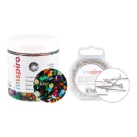 Kit de lentejuelas brillantes surtidas y alfileres - Innspiro