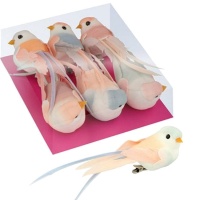 Set de pájaros decorados pastel medianos con pinza - 6 unidades