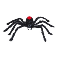 Araña peluda negra de espalda roja de 60 cm