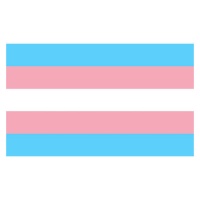 Bandera transexual de 0,90 x 1,50 m