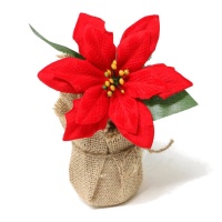 Maceta de flor de pascua con saco decorativo de 12 cm