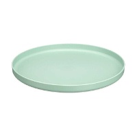 Plato de 25 cm llano reutilizable - 1 unidad