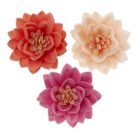 Obleas de flores de loto de 3 colores de 7 cm - Dekora - 15 unidades