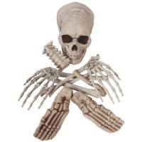 Huesos de esqueleto decorativos