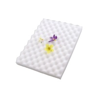 Almohadilla de esponja para el secado de flores - Sweetkolor