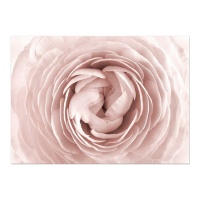Lienzo rosa bonita de 50 x 70 cm - DCasa