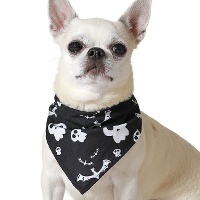 Pañuelo de calaveras de Halloween para mascotas