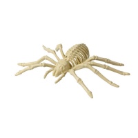 Esqueleto de araña de 24 x 12 cm