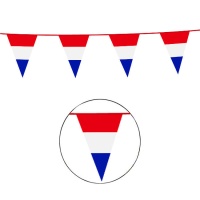 Banderín de Países Bajos de triángulo de 10 m