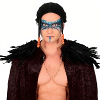 Hombreras de plumas - 2 unidades