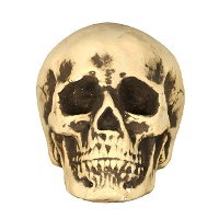 Calavera de 20 cm