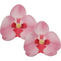 Obleas de flores de Orquídeas de 8,5 x 7,5 cm - FunCakes - 10 unidades